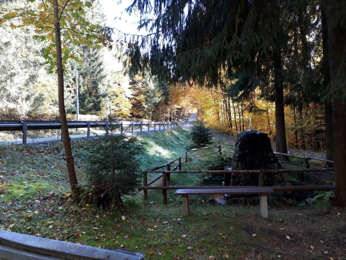 Cozy Apartment In Ore Mountains With Balcony 布赖滕布伦 外观 照片